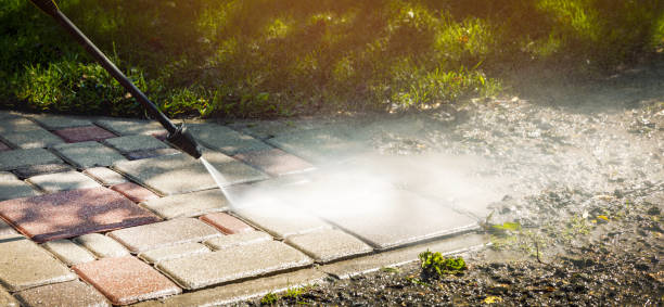 Best Driveway Cleaning and Restoration in Champaign, IL